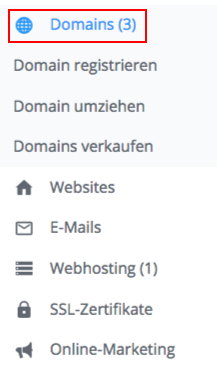 Original-Screenshot: checkdomain, Schritt 3
